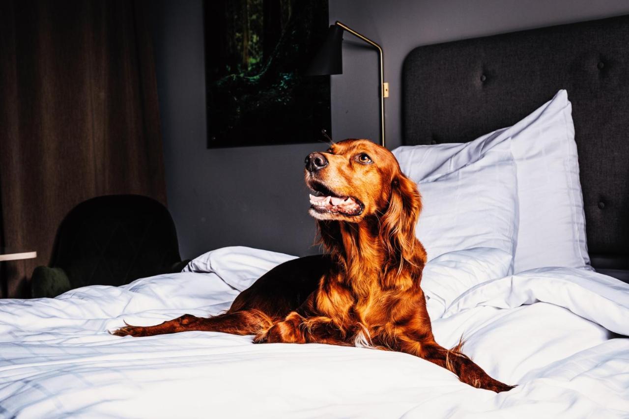 Hotell Soedra Berget Sundsvall Kültér fotó