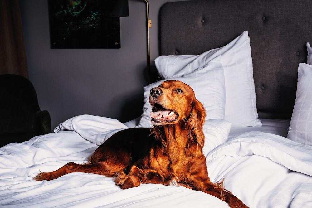 Hotell Soedra Berget Sundsvall Kültér fotó